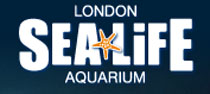 London Aquarium London Aquarium